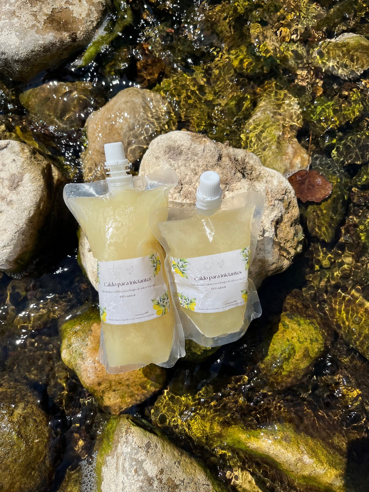 Caldo dos Iniciantes